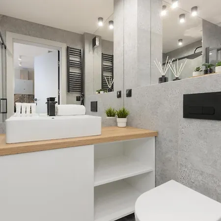 Stunning Srebrna With City View By Renters